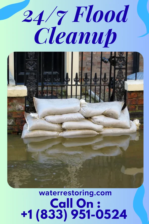 24/7 Flood Cleanup in Pawleys Island, SC