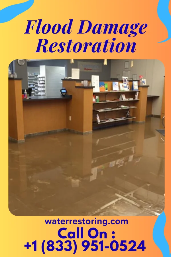Flood Damage Restoration in Pawleys Island, SC