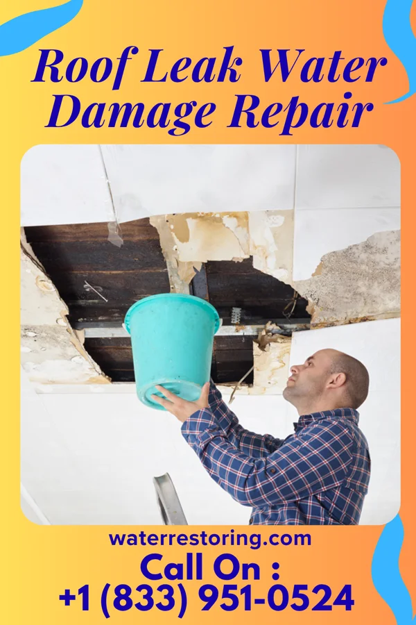 Roof Leak Water Damage Repair in Pawleys Island, SC