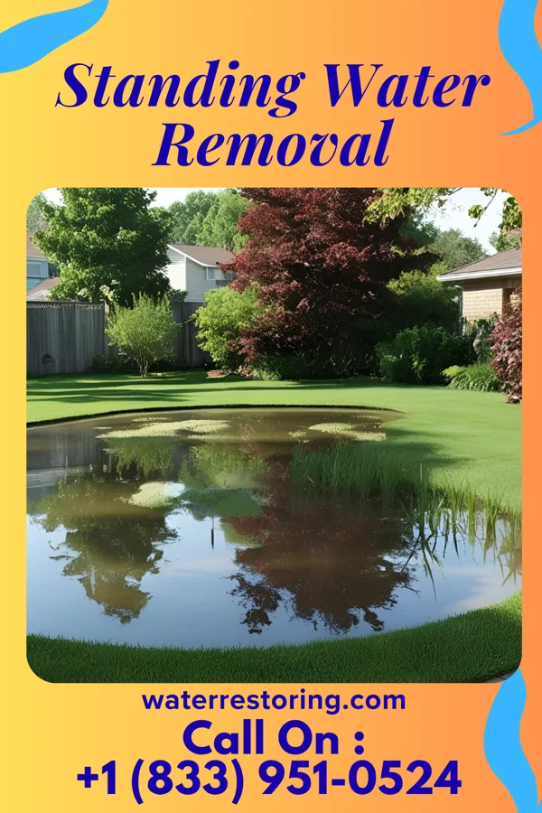 Standing Water Removal in Pawleys Island, SC